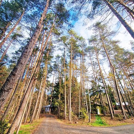 Bungalow Direkt Am See, Mit Eigenem Boot رودنغ المظهر الخارجي الصورة