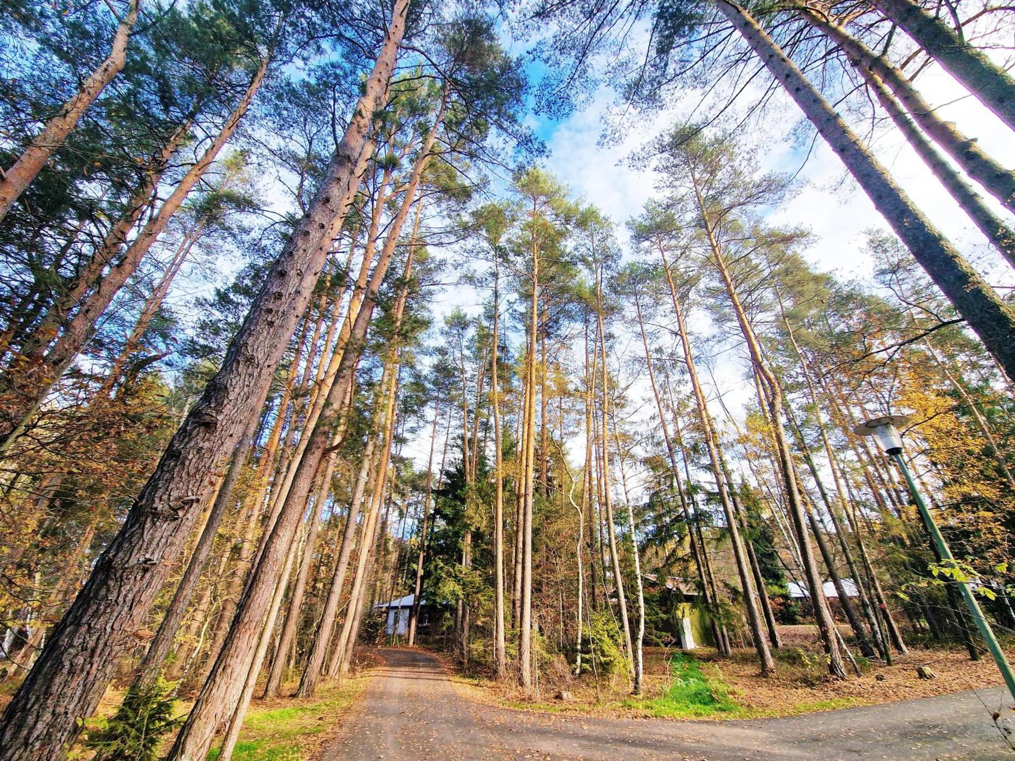 Bungalow Direkt Am See, Mit Eigenem Boot رودنغ المظهر الخارجي الصورة
