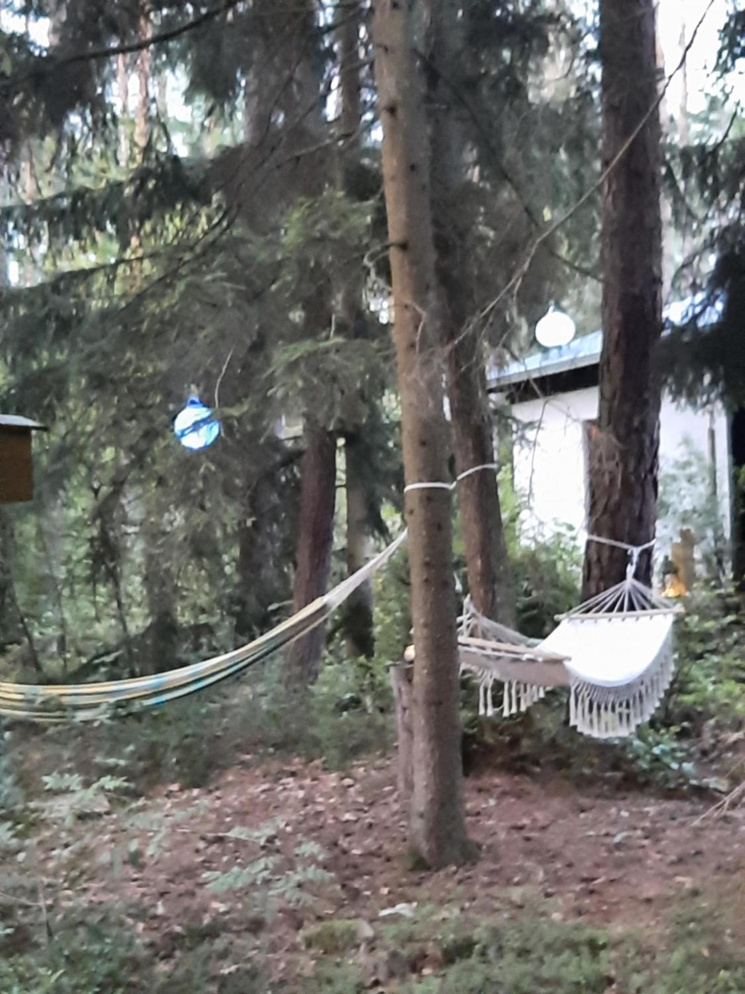 Bungalow Direkt Am See, Mit Eigenem Boot رودنغ المظهر الخارجي الصورة